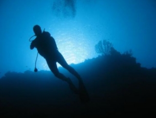 plongeur en contre jour sous la surface.jpg